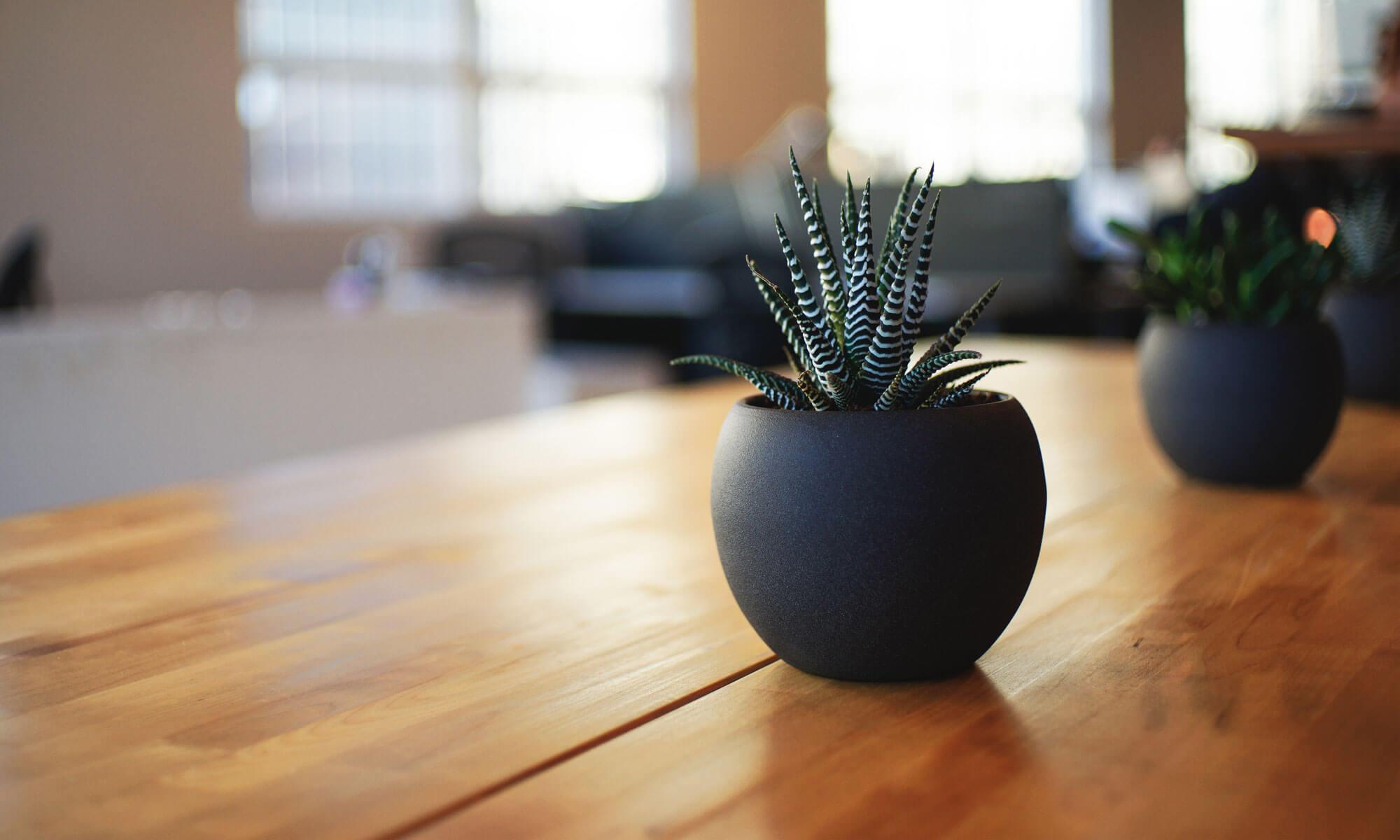 Paul Rowlett Associates